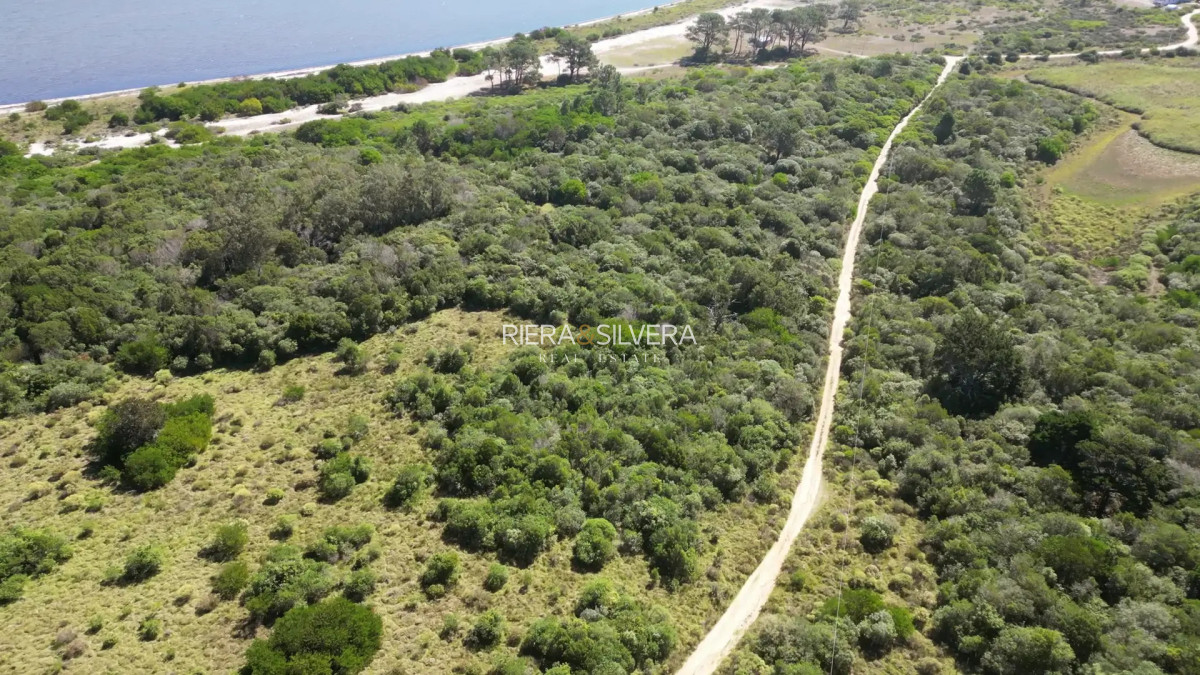 Terreno ID.26 - Terreno en El Caracol | Sobre calle principal 