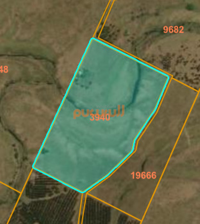 Campo Ref.3097 - Campo - Los Caracoles en venta - 18 Hectareas 