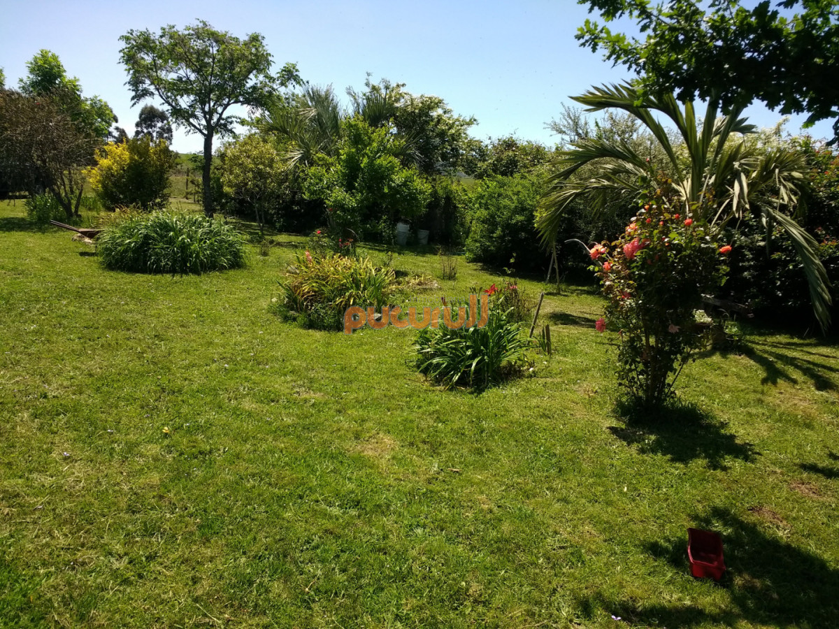 Campo Ref.3097 - Campo - Los Caracoles en venta - 18 Hectareas 
