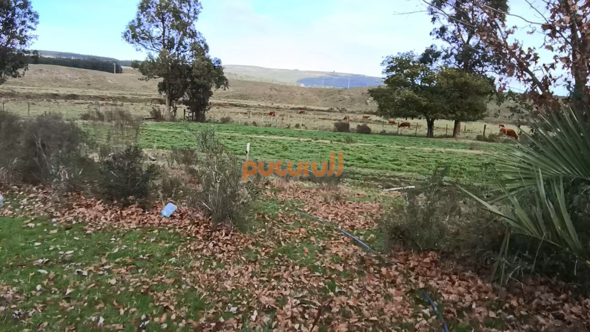 Campo Ref.3097 - Campo - Los Caracoles en venta - 18 Hectareas 