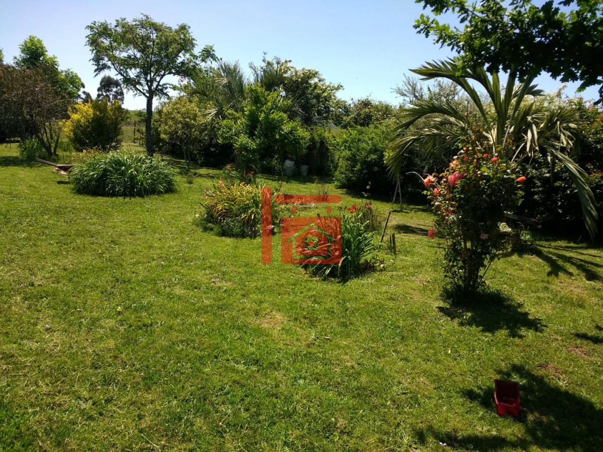 Campo Ref.1262 - Campo - Los Caracoles en venta - 18 Hectareas 