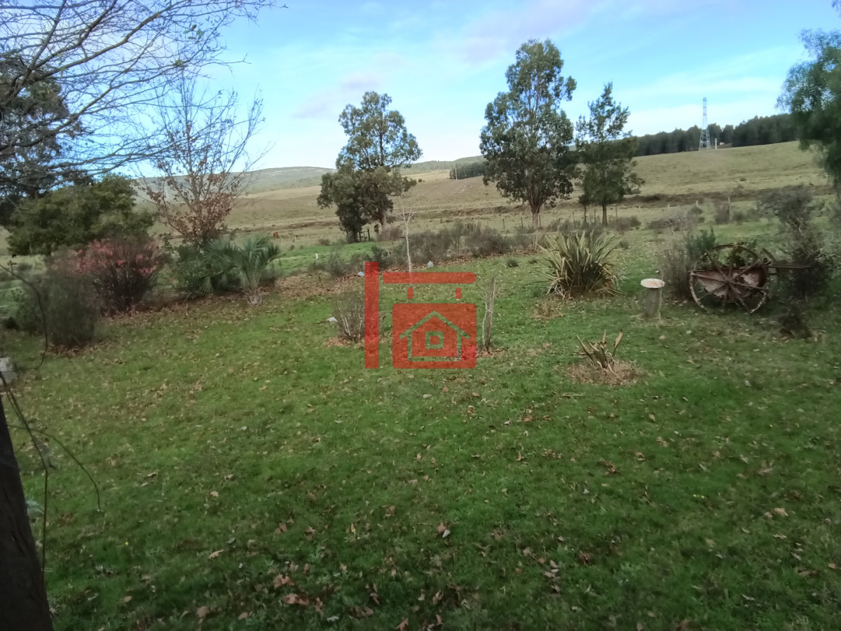Campo Ref.1262 - Campo - Los Caracoles en venta - 18 Hectareas 