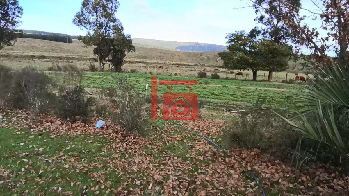Campo Ref.1262 - Campo - Los Caracoles en venta - 18 Hectareas 