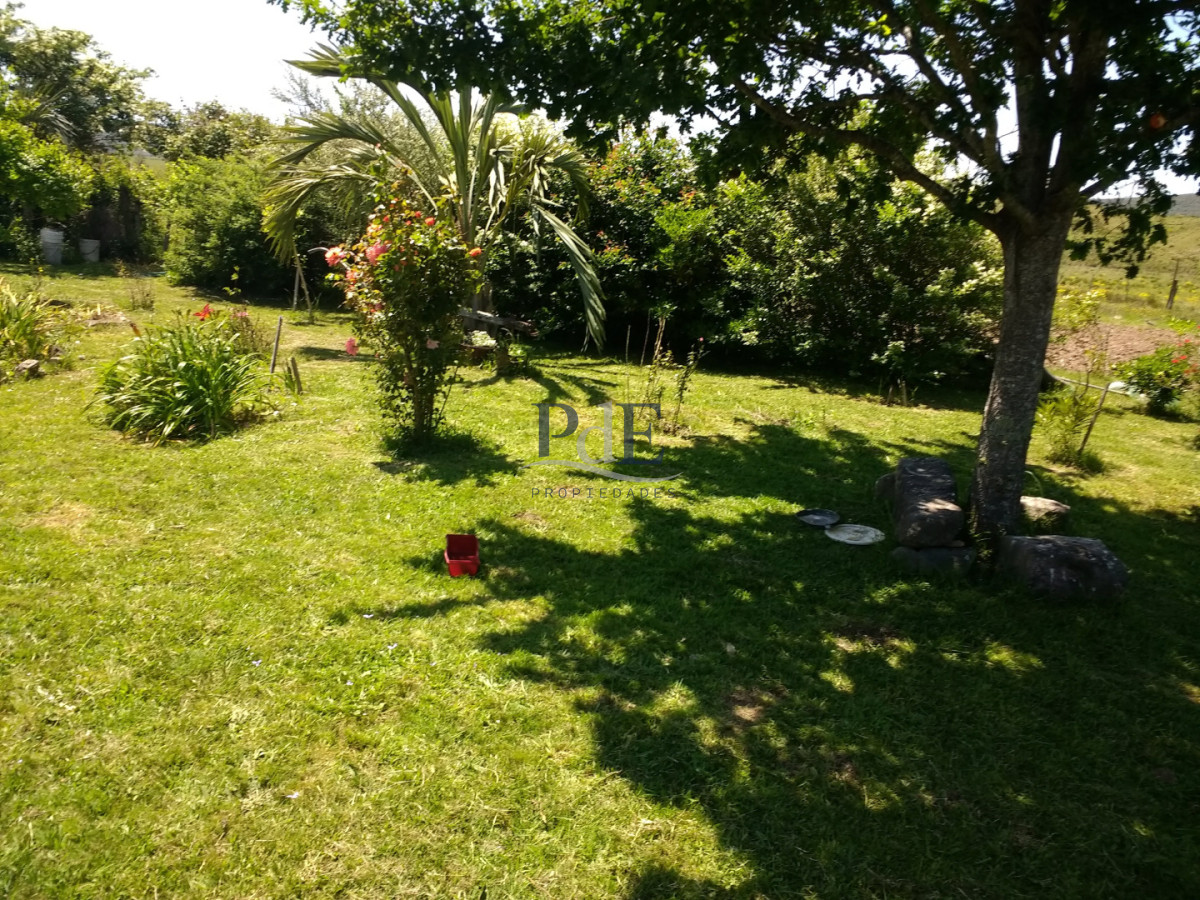 Campo - Los Caracoles en venta - 18 Hectáreas  - Imagen 4