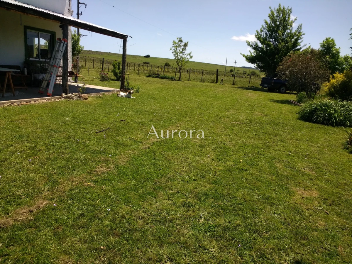 Campo Ref.454 - Campo - Los Caracoles en venta - 18 Hectareas 