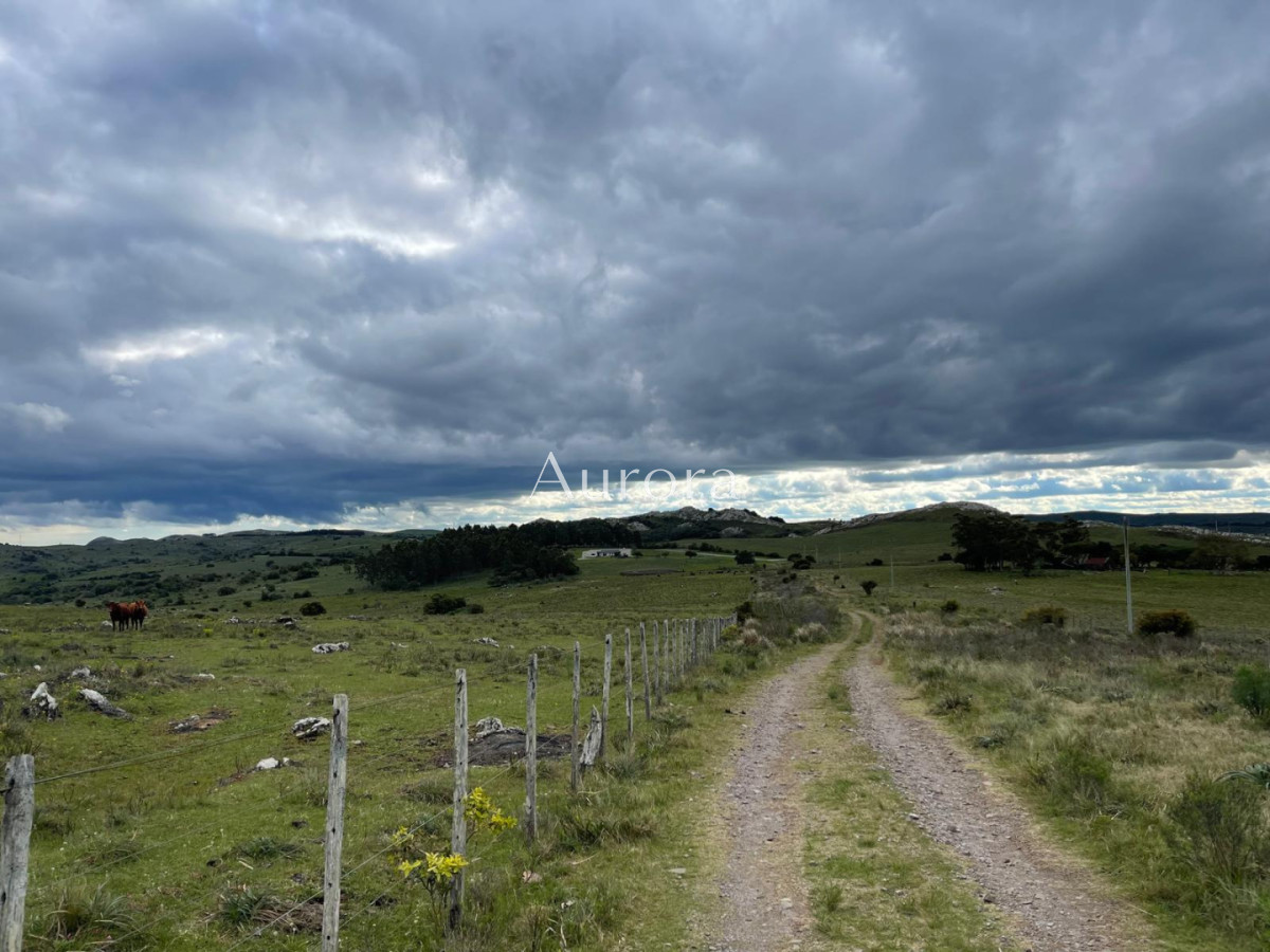 Campo Ref.353 - Campo en venta