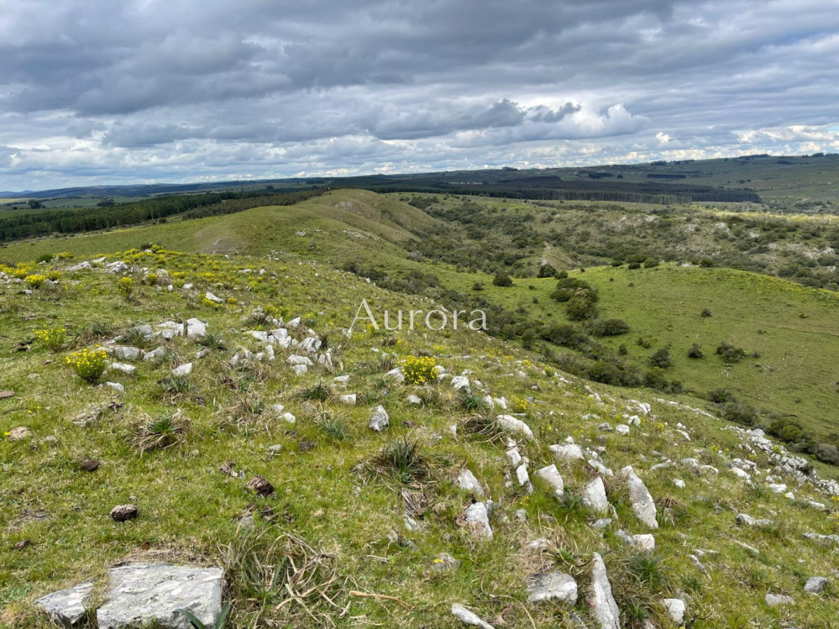 Campo Ref.353 - Campo en venta