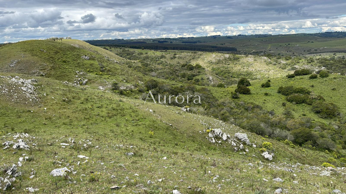 Campo Ref.353 - Campo en venta