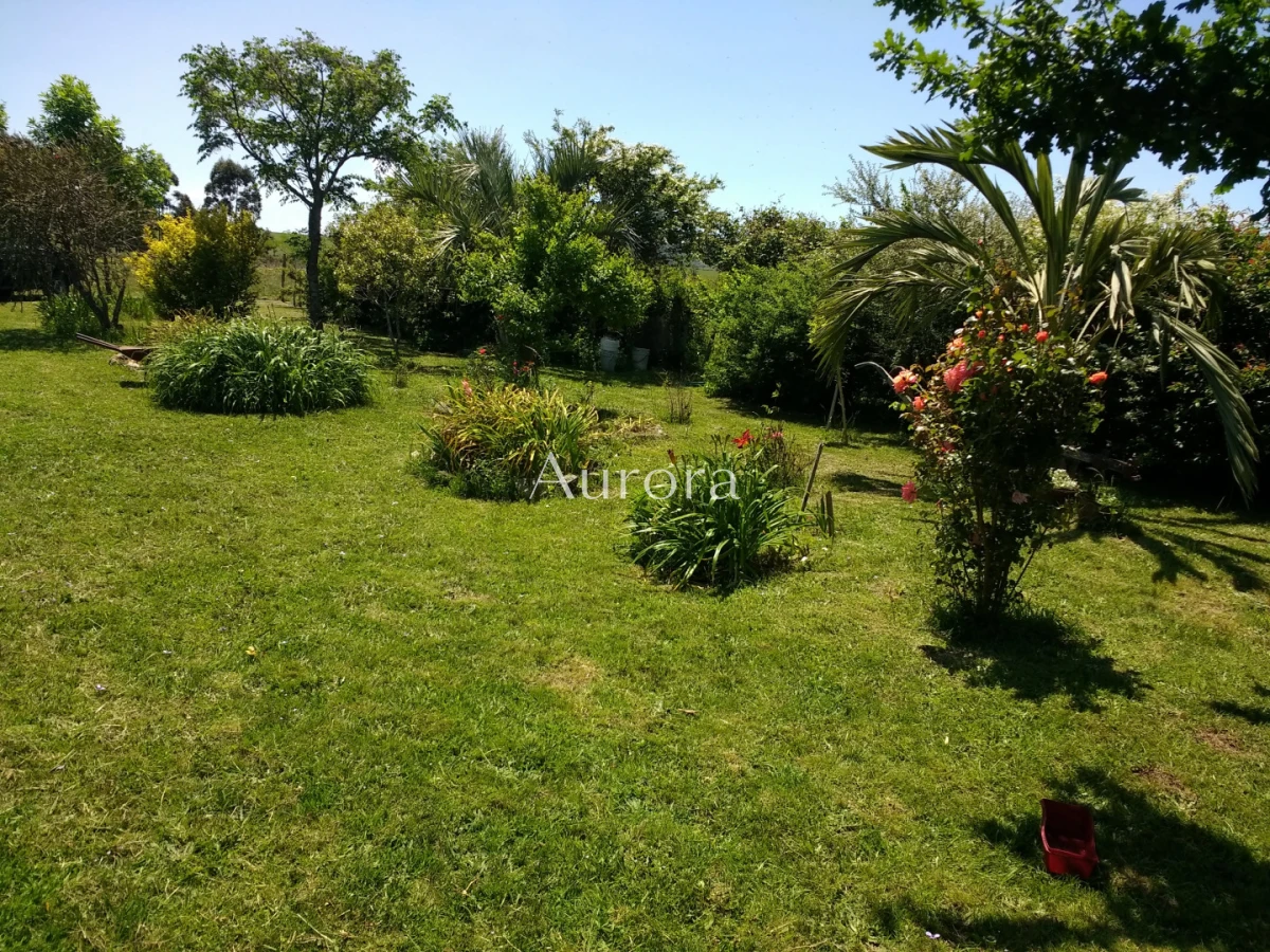 Campo Ref.454 - Campo - Los Caracoles en venta - 18 Hectareas 