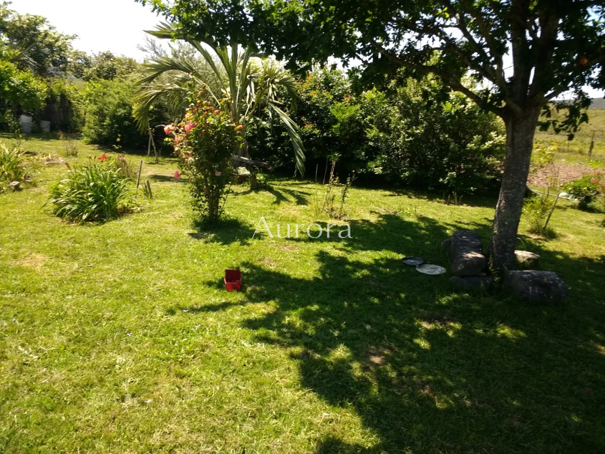 Campo Ref.454 - Campo - Los Caracoles en venta - 18 Hectareas 