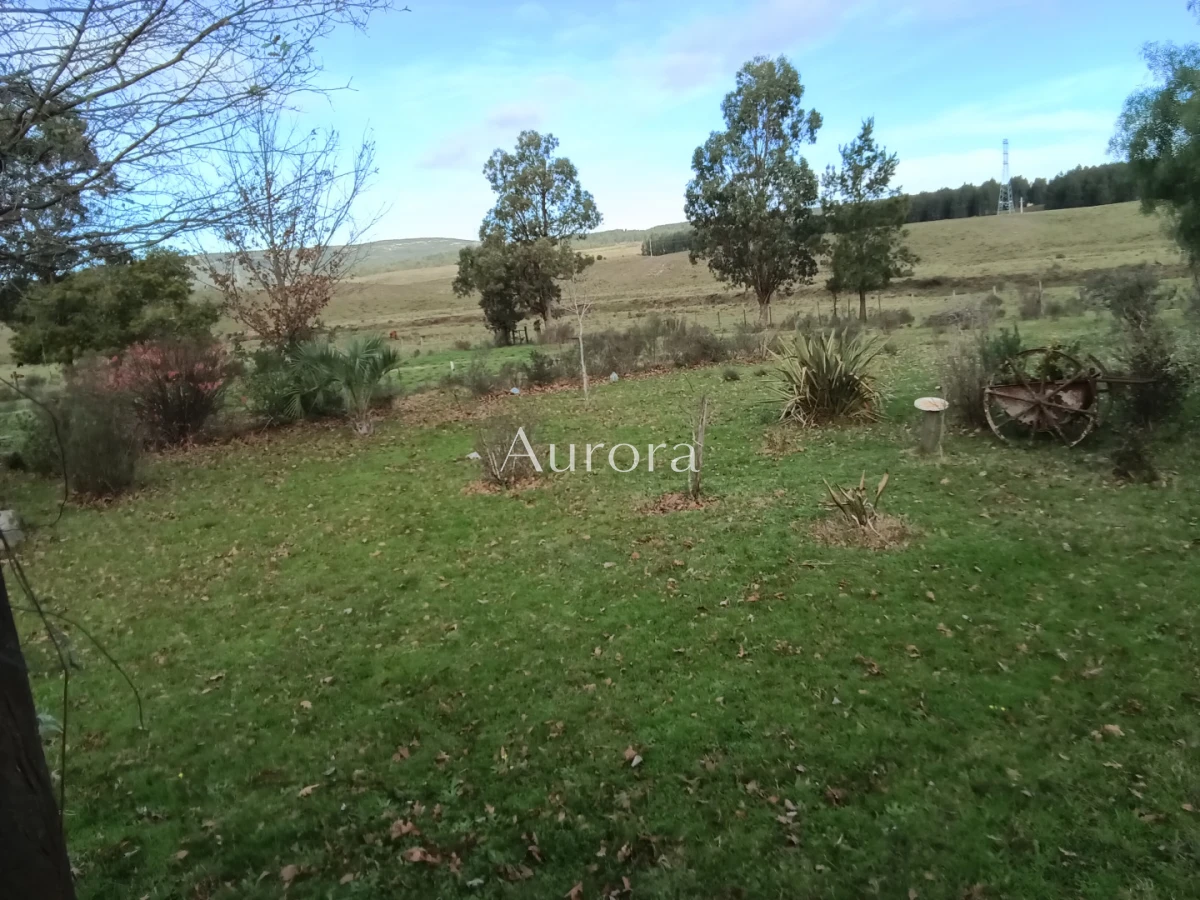 Campo Ref.454 - Campo - Los Caracoles en venta - 18 Hectareas 