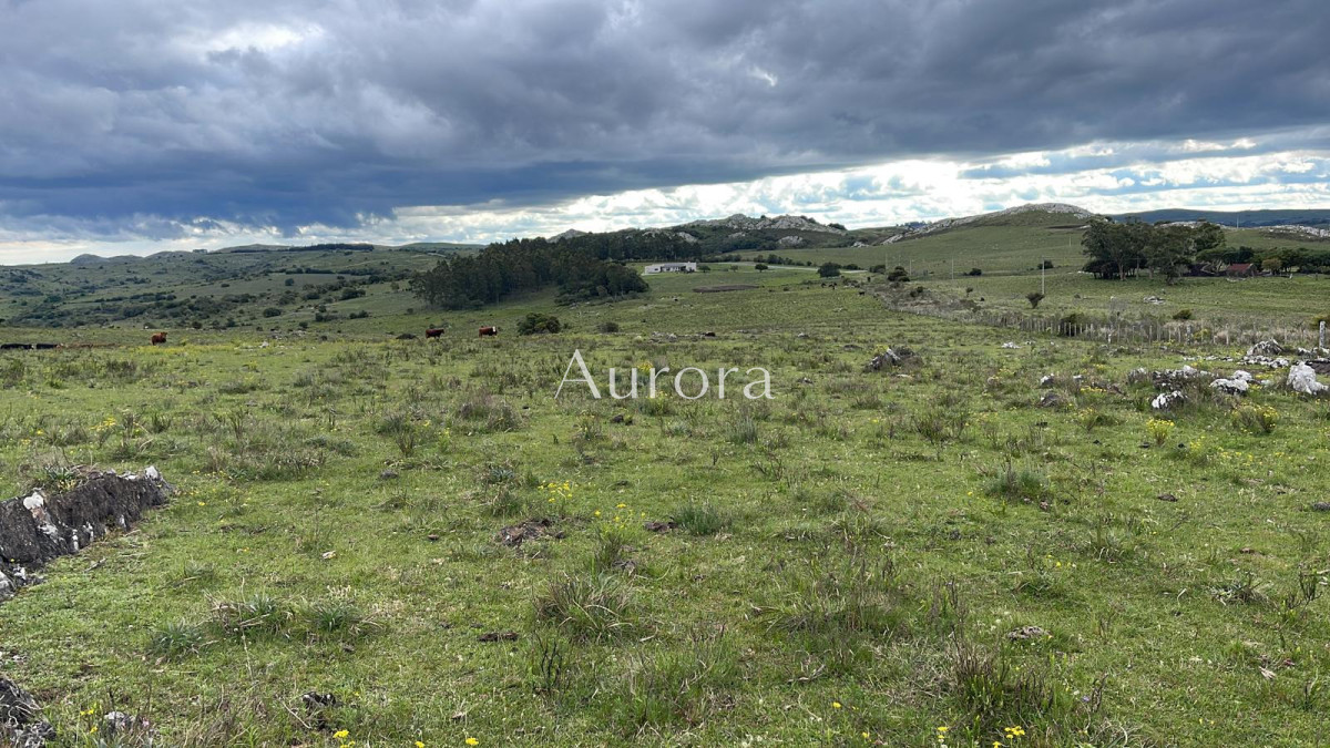 Campo Ref.353 - Campo en venta
