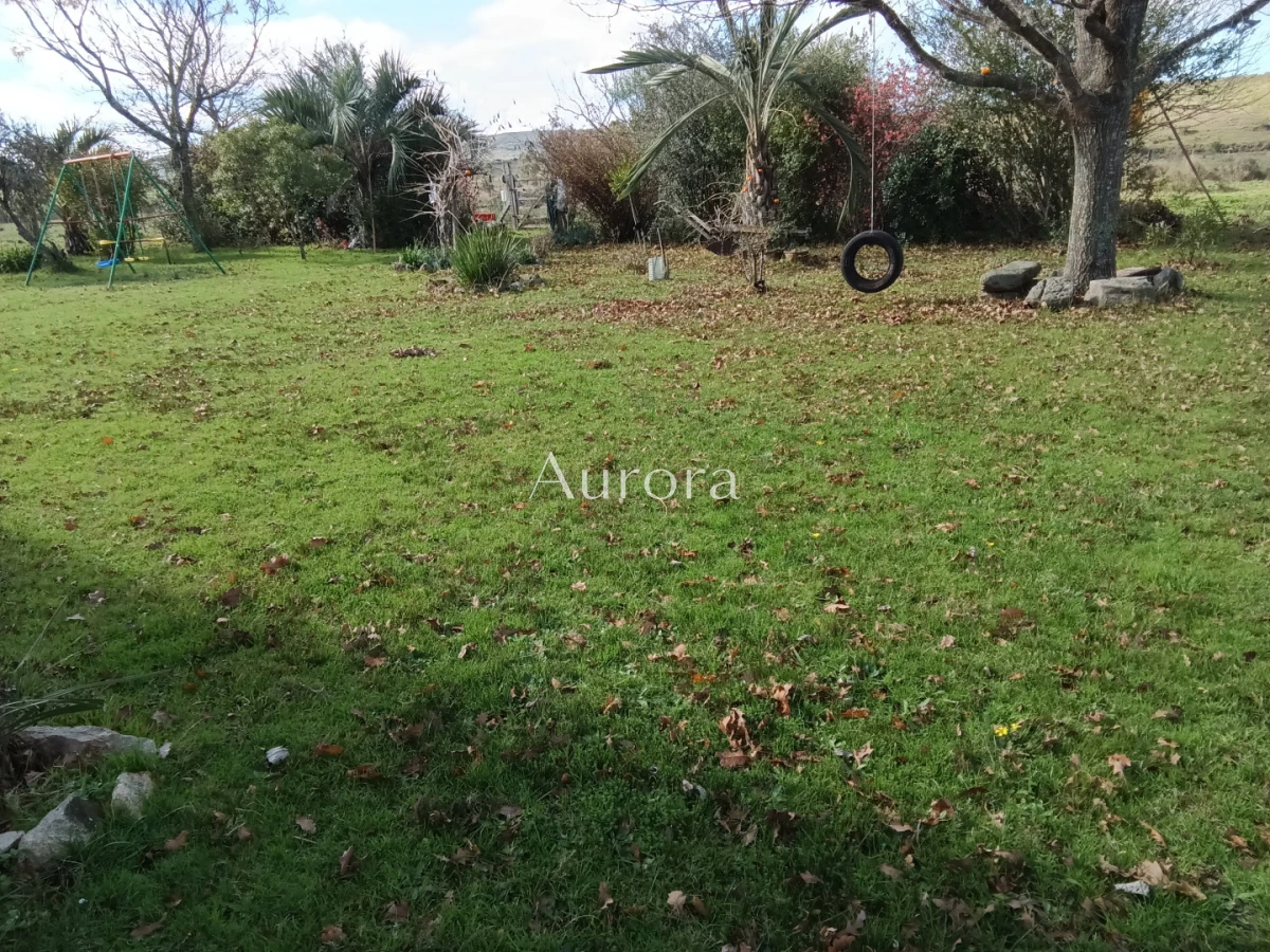 Campo Ref.454 - Campo - Los Caracoles en venta - 18 Hectareas 