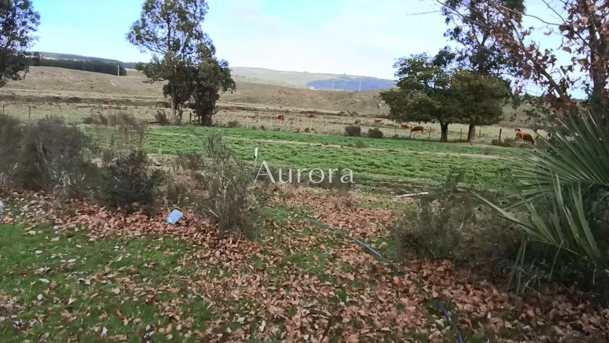 Campo Ref.454 - Campo - Los Caracoles en venta - 18 Hectareas 