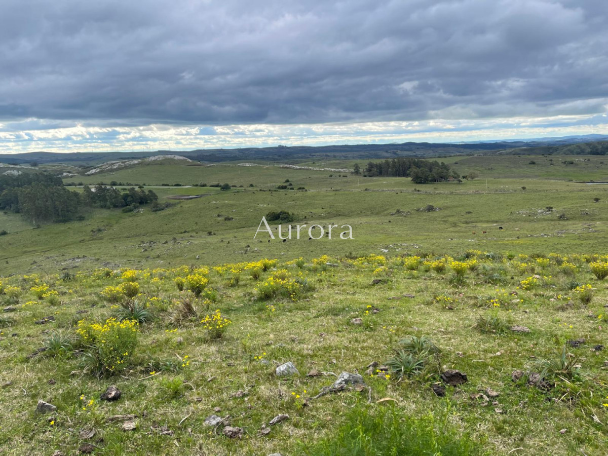 Campo Ref.353 - Campo en venta