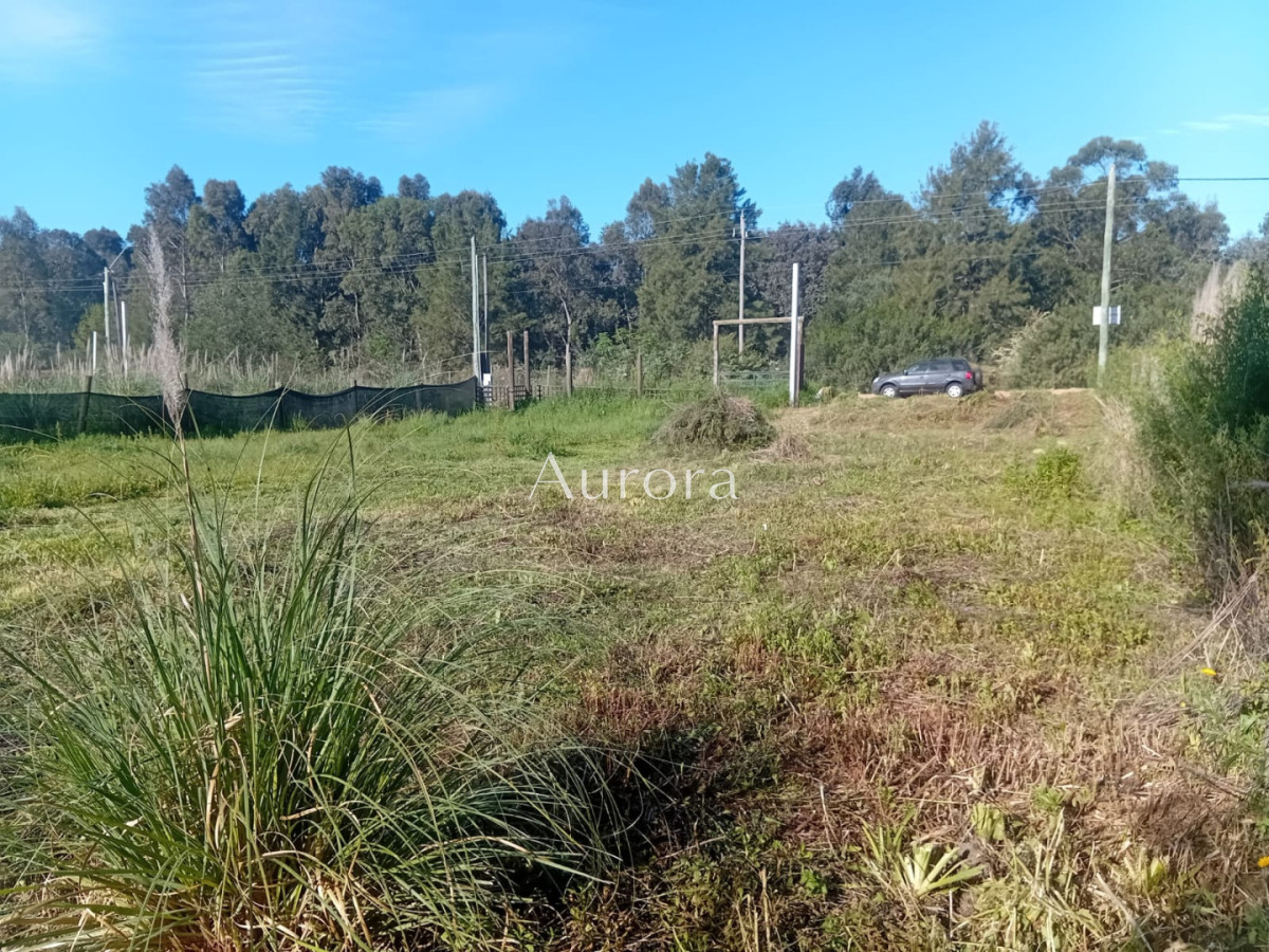 Terreno ID.482 - Terreno en venta - La Bota 