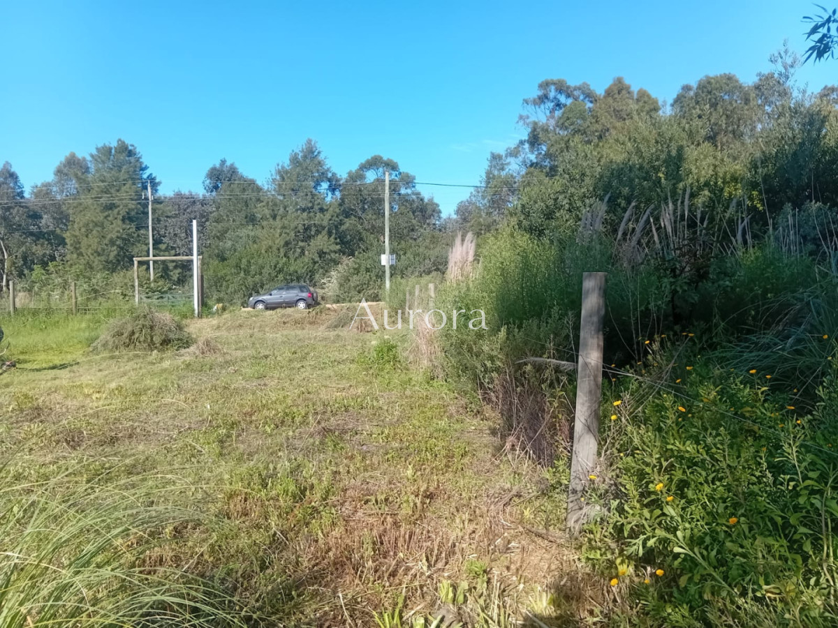 Terreno ID.482 - Terreno en venta - La Bota 