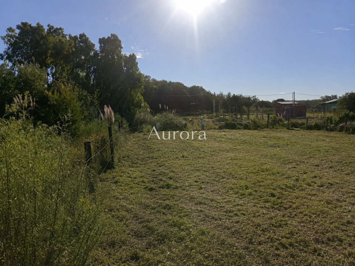 Terreno ID.482 - Terreno en venta - La Bota 