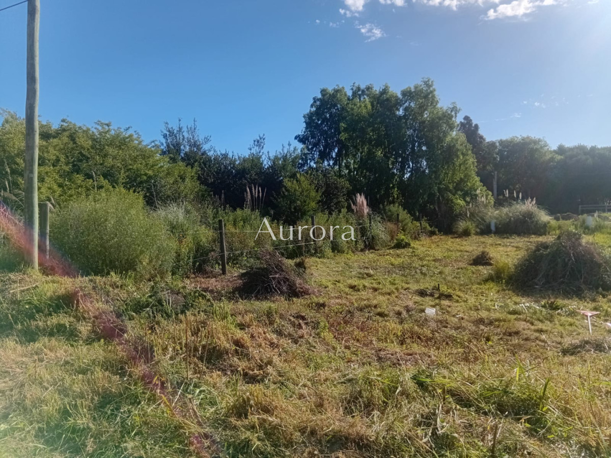 Terreno ID.482 - Terreno en venta - La Bota 