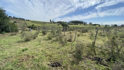 Oportunidad en Paraje Las Cañas !!!  Chacra de 5 hectareas - Ref : EQP5523