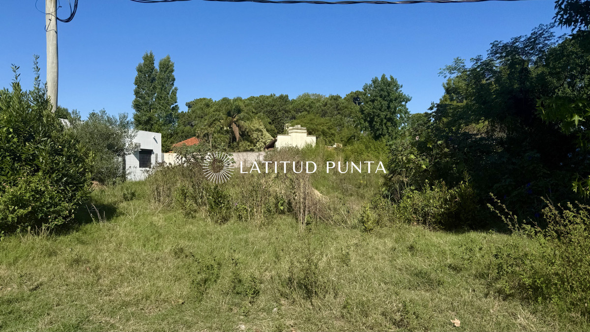 Marly - GoPunta - Portal Inmobiliario de Punta del Este - Maldonado