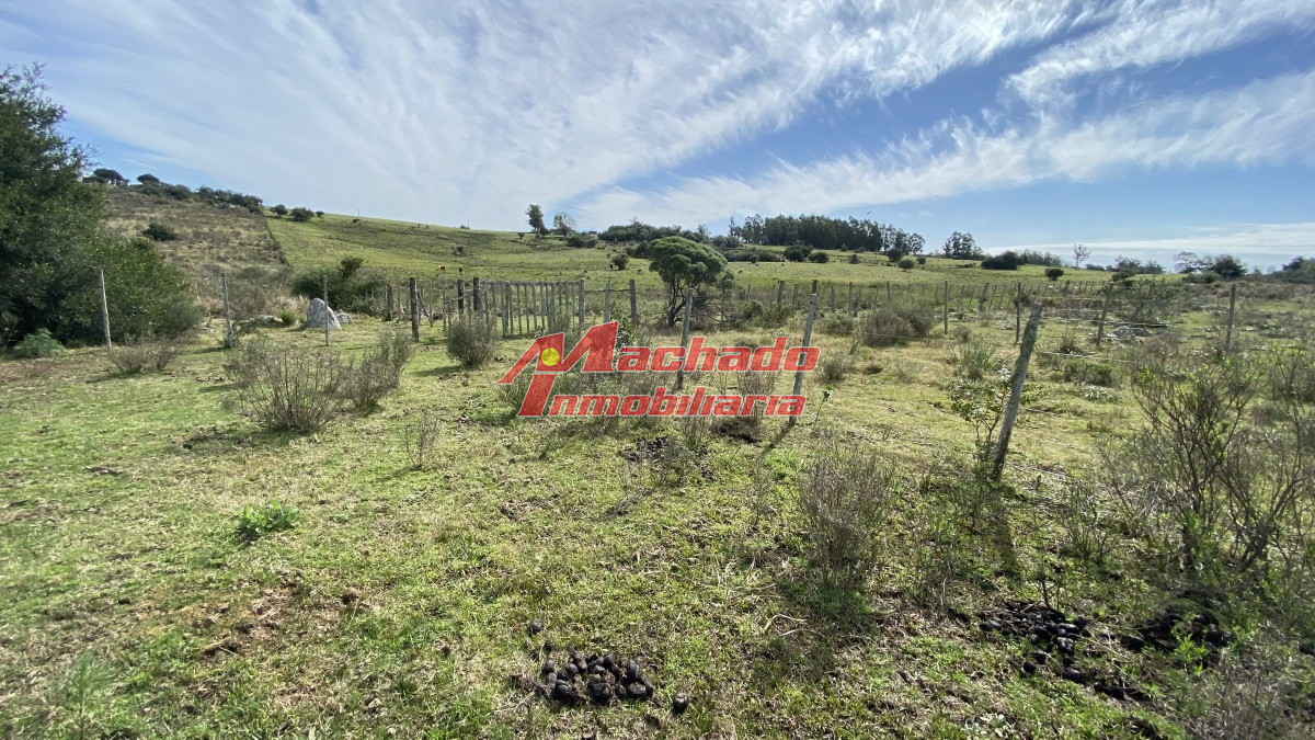Oportunidad en Paraje Las Cañas !!!   - MCH14094H