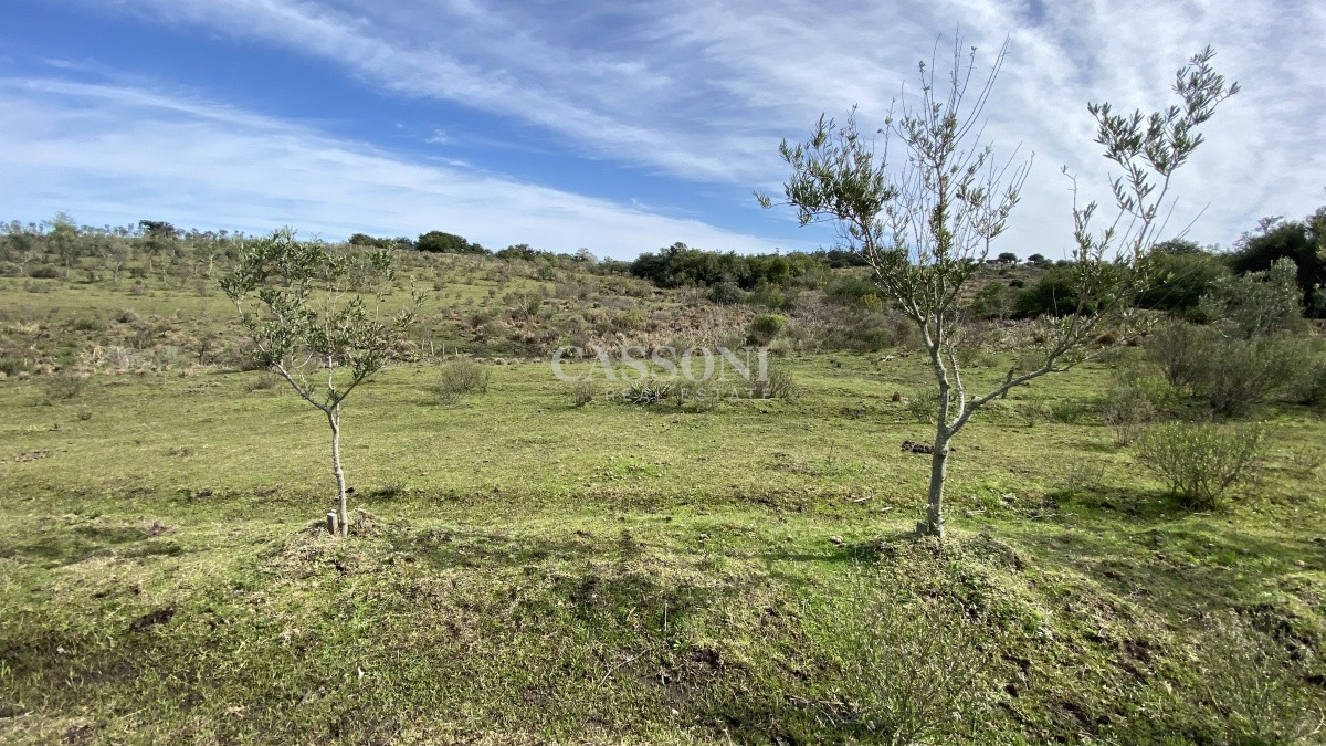 Chacra ID.2678 - Oportunidad en Paraje Las Cañas !!!  