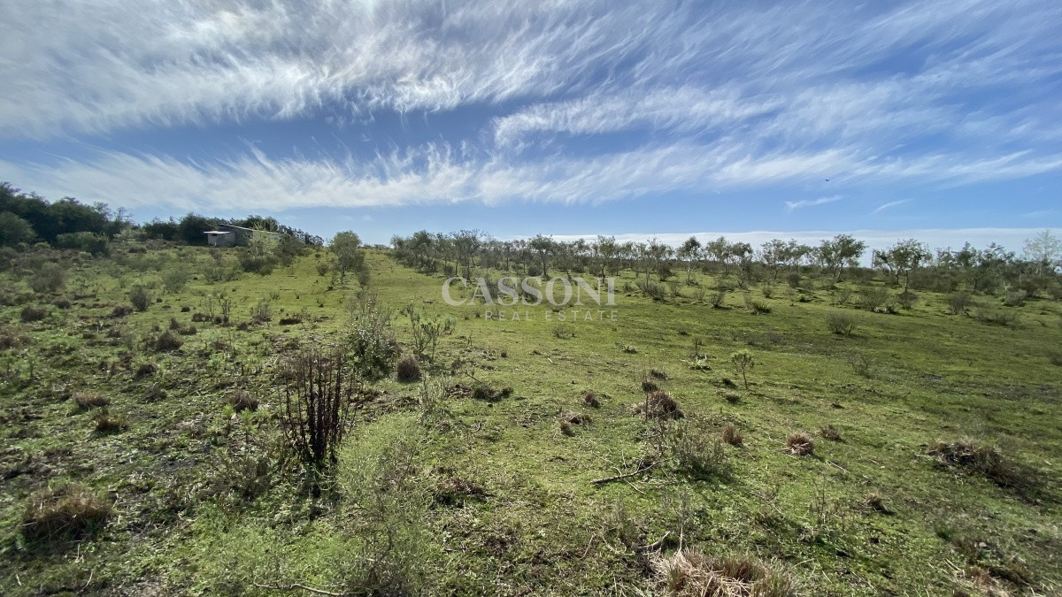 Chacra ID.2678 - Oportunidad en Paraje Las Cañas !!!  