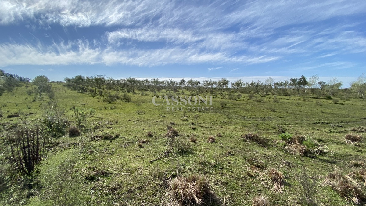 Chacra ID.2678 - Oportunidad en Paraje Las Cañas !!!  