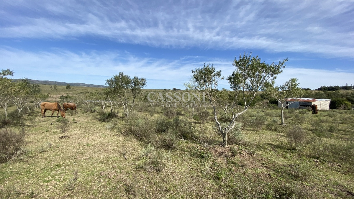 Chacra ID.2678 - Oportunidad en Paraje Las Cañas !!!  