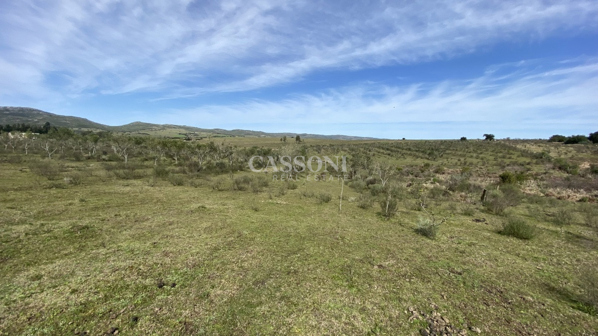 Chacra ID.2678 - Oportunidad en Paraje Las Cañas !!!  
