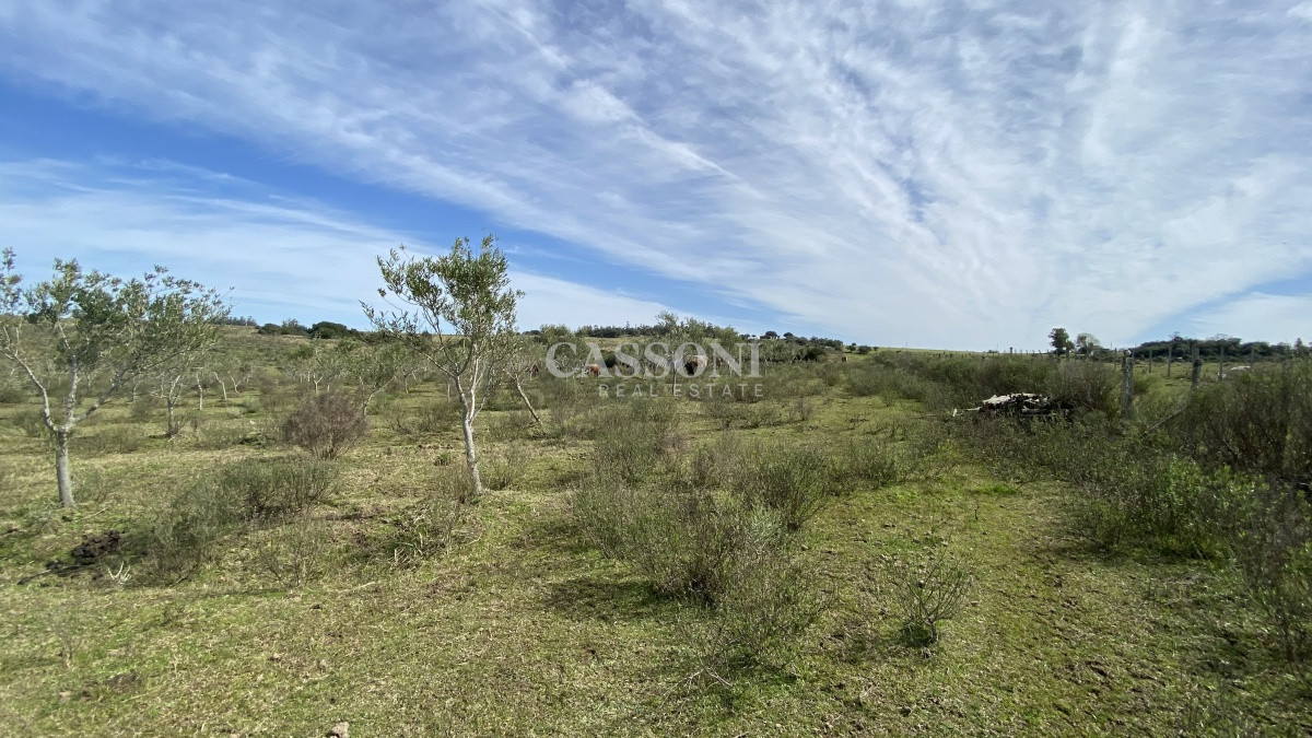 Chacra ID.2678 - Oportunidad en Paraje Las Cañas !!!  