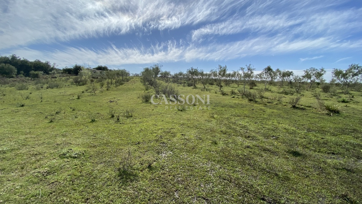 Chacra ID.2678 - Oportunidad en Paraje Las Cañas !!!  