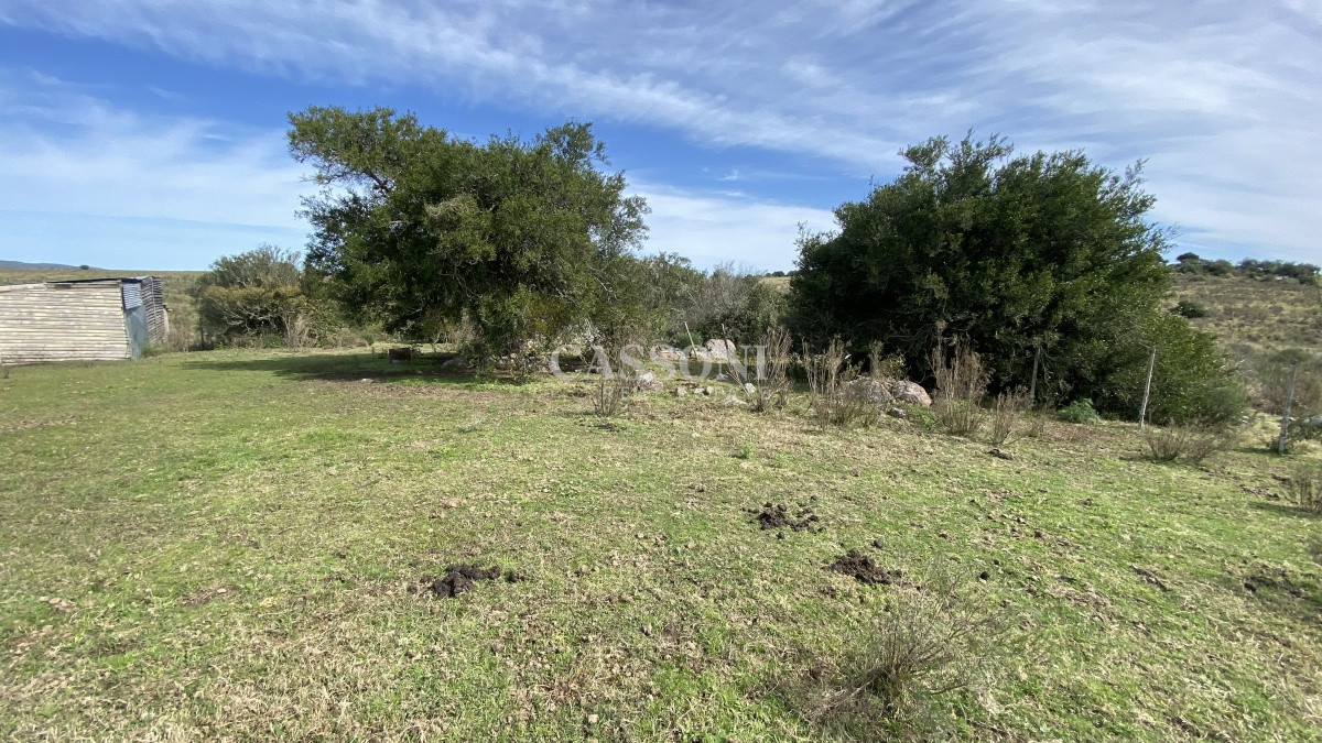Chacra ID.2678 - Oportunidad en Paraje Las Cañas !!!  