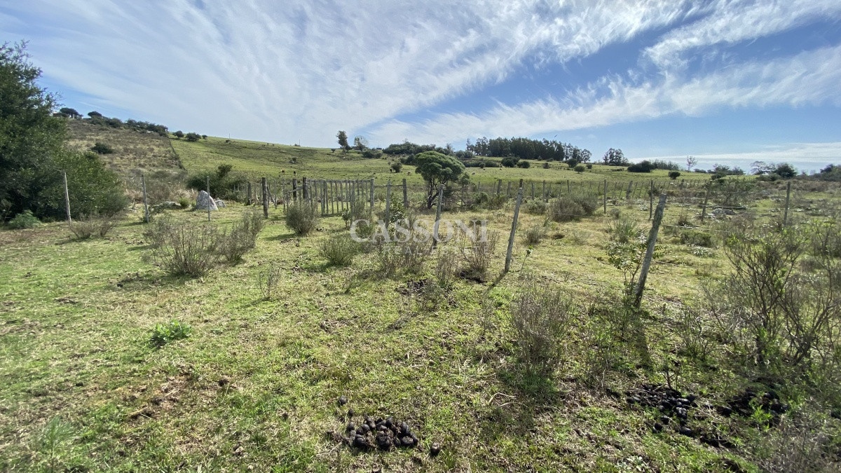Chacra ID.2678 - Oportunidad en Paraje Las Cañas !!!  