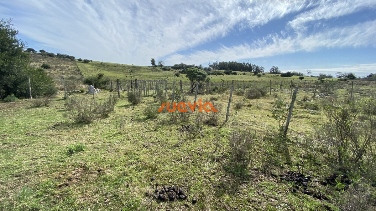 Chacra ID.3705 - Oportunidad en Paraje Las Cañas !!!  