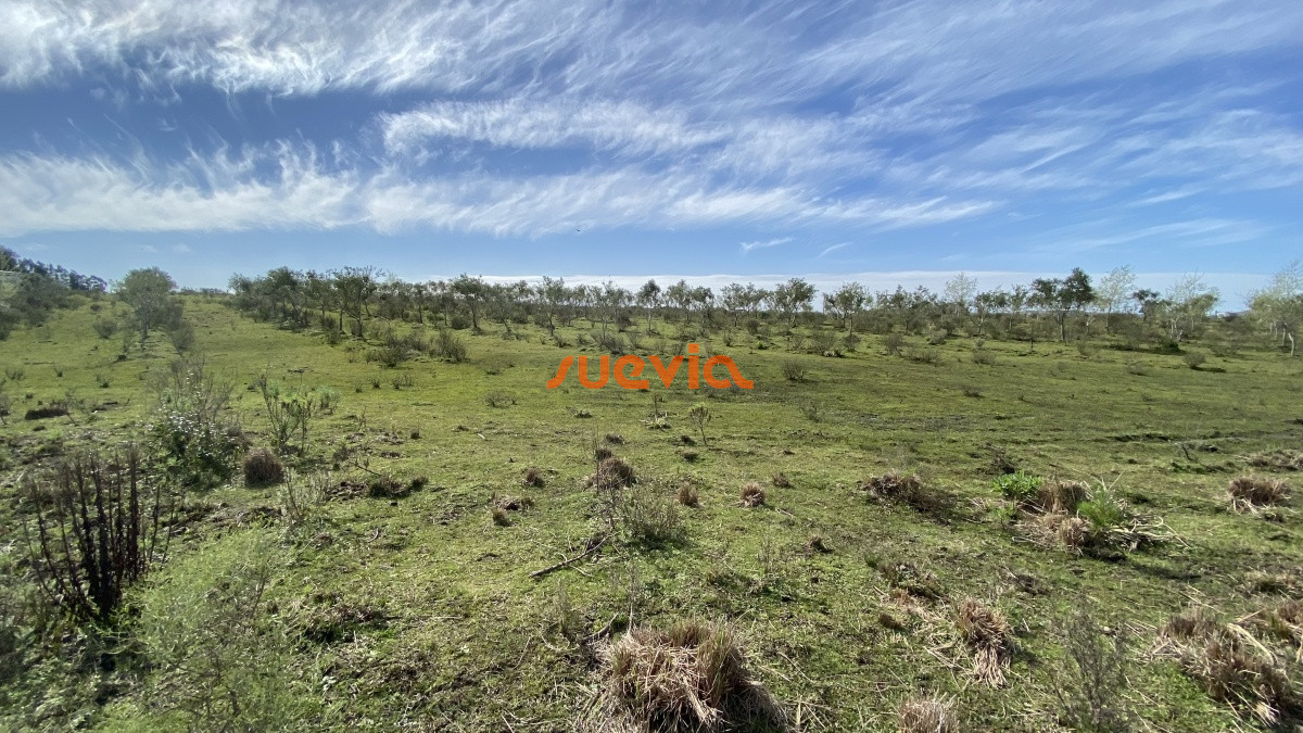 Las Cañas - GoPunta - Portal Inmobiliario de Punta del Este - Maldonado