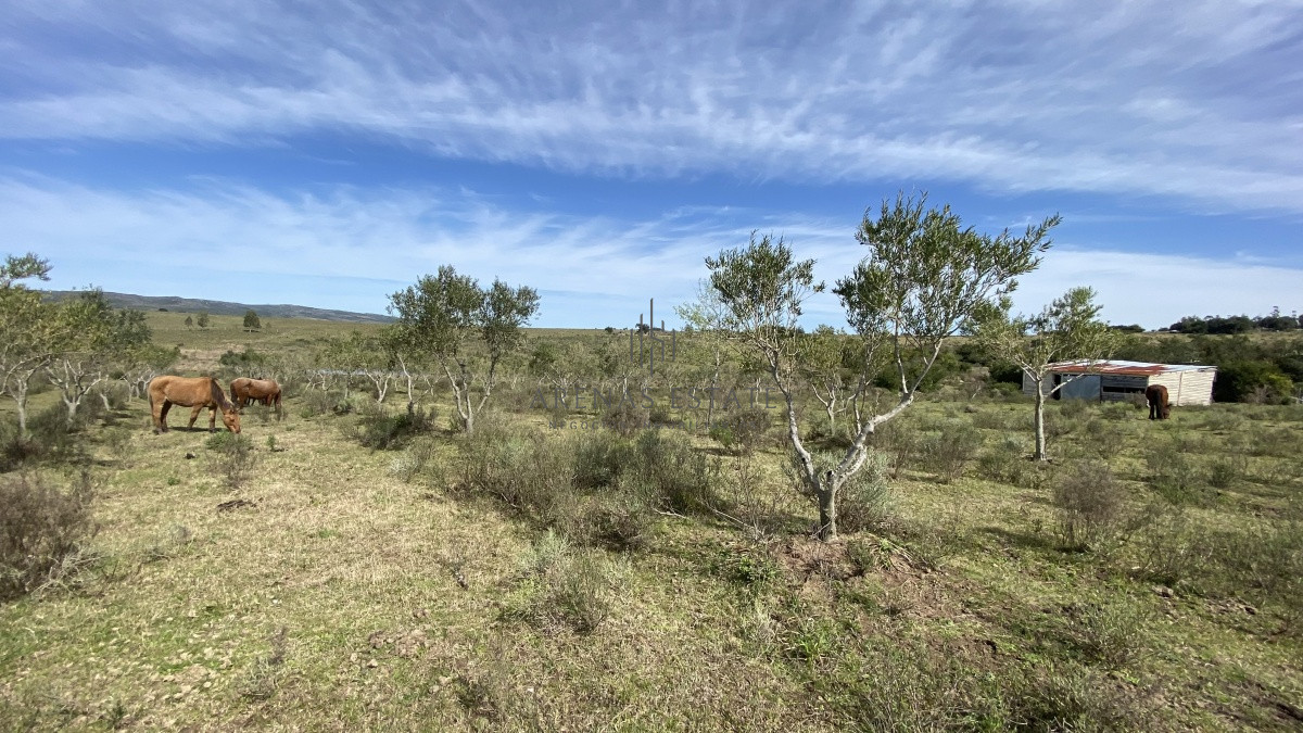 Chacra ID.1430 - Oportunidad en Paraje Las Cañas !!!  