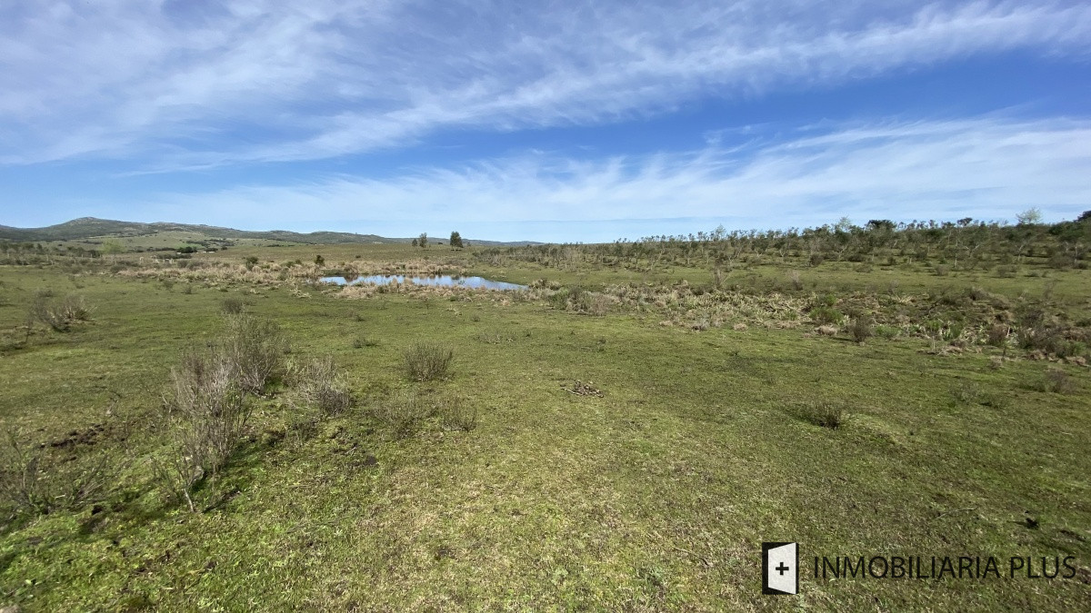 Chacra ID.469 - Venta de Chacra en Paraje Las Cañas  a solo 40 km de Punta del Este Maldonado C921