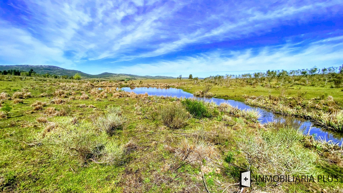 Chacra ID.469 - Venta de Chacra en Paraje Las Cañas  a solo 40 km de Punta del Este Maldonado C921