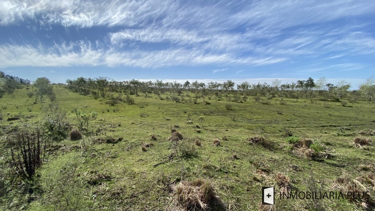Chacra ID.469 - Venta de Chacra en Paraje Las Cañas  a solo 40 km de Punta del Este Maldonado C921
