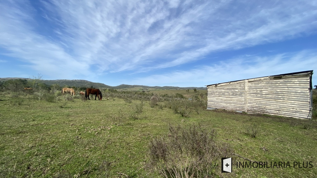Chacra ID.469 - Venta de Chacra en Paraje Las Cañas  a solo 40 km de Punta del Este Maldonado C921