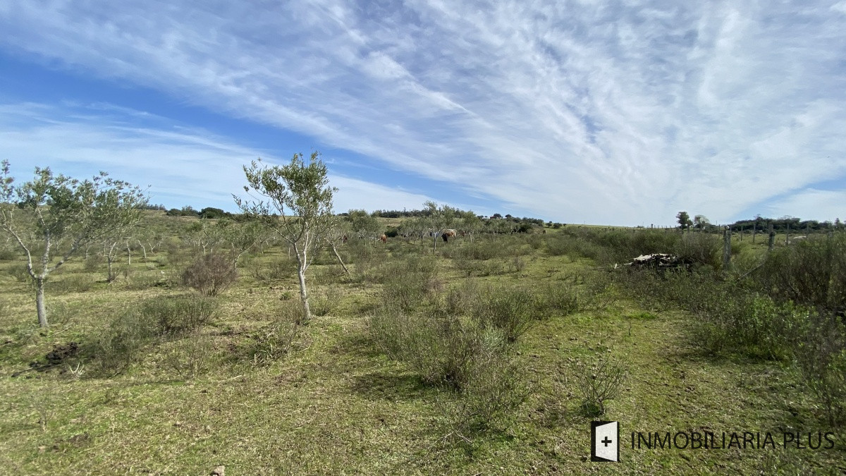 Chacra ID.469 - Venta de Chacra en Paraje Las Cañas  a solo 40 km de Punta del Este Maldonado C921