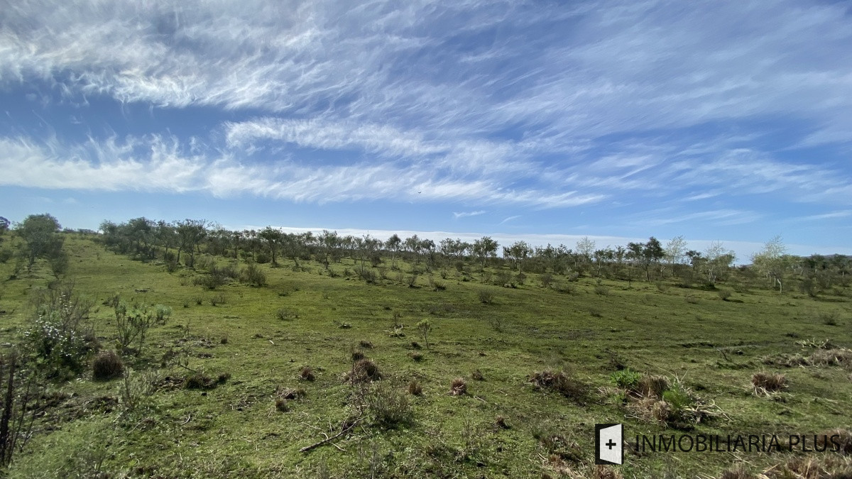 Chacra ID.469 - Venta de Chacra en Paraje Las Cañas  a solo 40 km de Punta del Este Maldonado C921