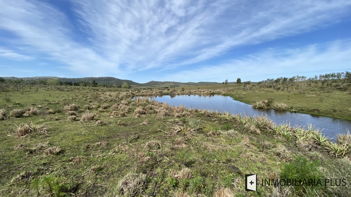 Chacra ID.469 - Venta de Chacra en Paraje Las Cañas  a solo 40 km de Punta del Este Maldonado C921