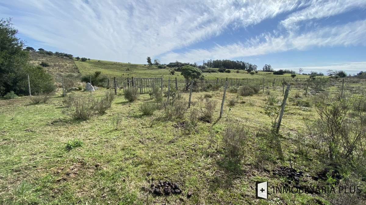 Chacra ID.469 - Venta de Chacra en Paraje Las Cañas  a solo 40 km de Punta del Este Maldonado C921