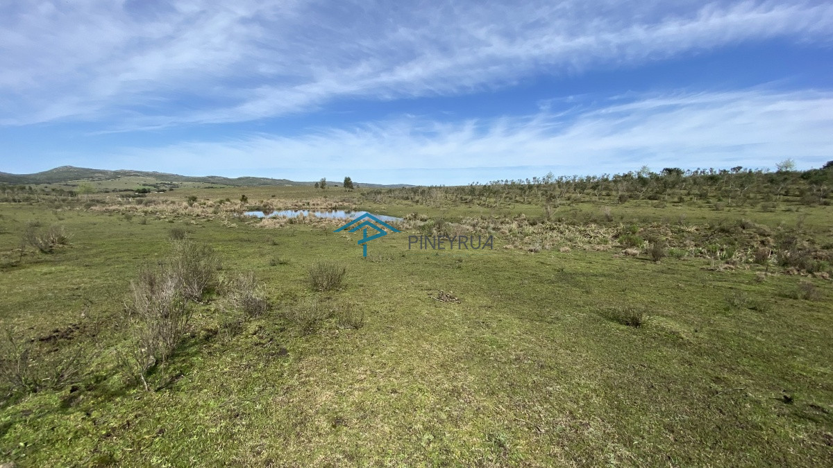 Chacra ID.182 - Oportunidad en Paraje Las Cañas !!!  