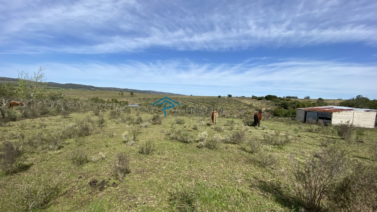 Chacra ID.182 - Oportunidad en Paraje Las Cañas !!!  