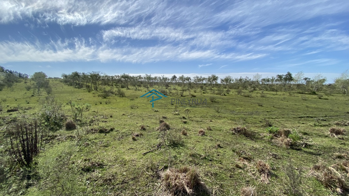 Chacra ID.182 - Oportunidad en Paraje Las Cañas !!!  