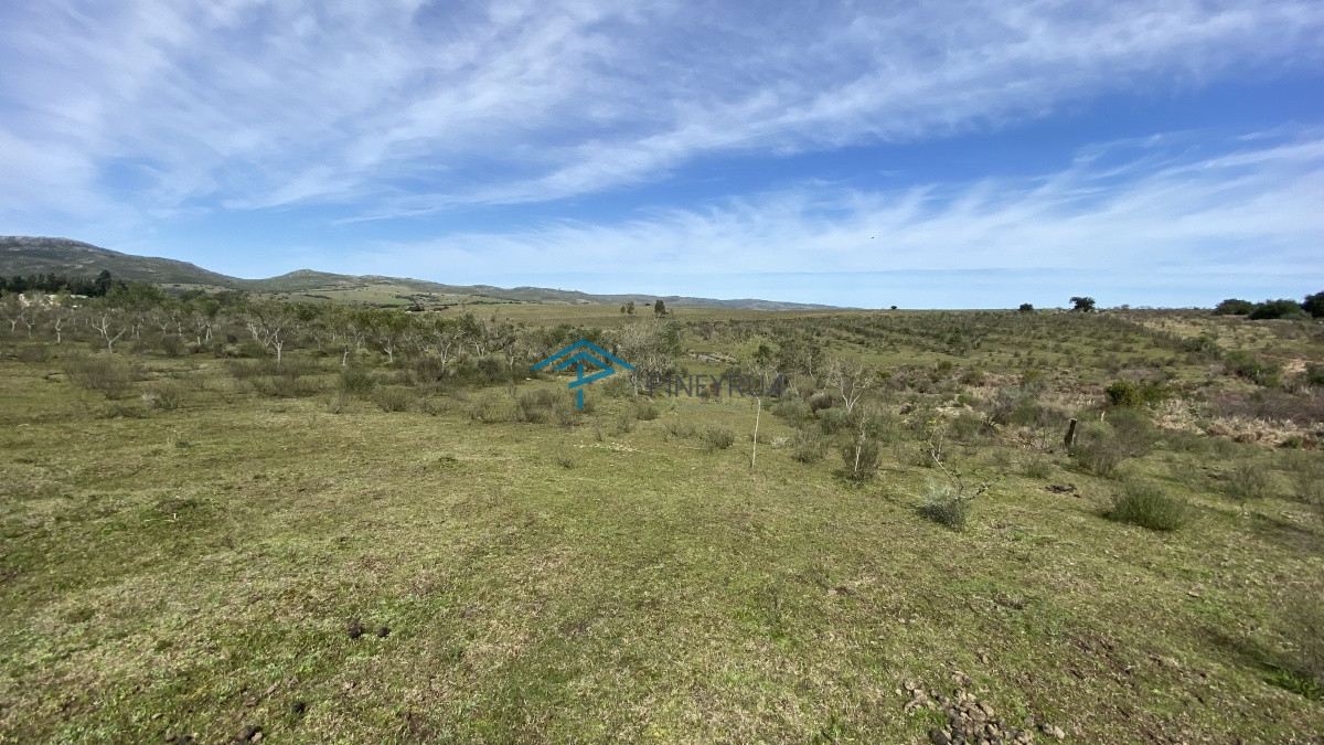 Chacra ID.182 - Oportunidad en Paraje Las Cañas !!!  